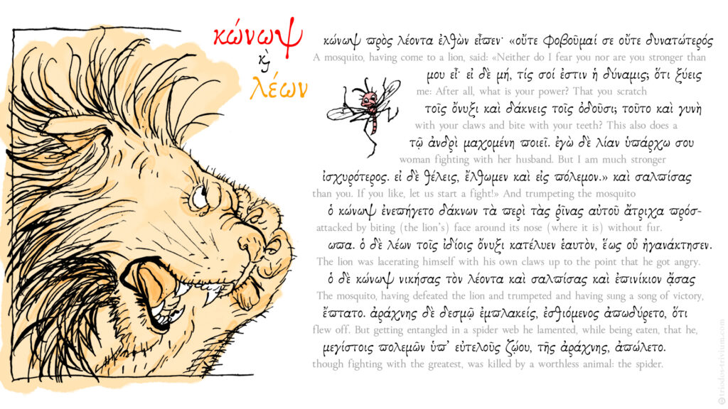 κώνωψ καὶ λέων - Gnat and Lion (Aesop's Fables, Perry #255)